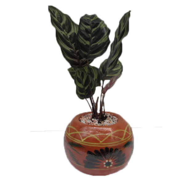 Maceta Bola - Imagen 2