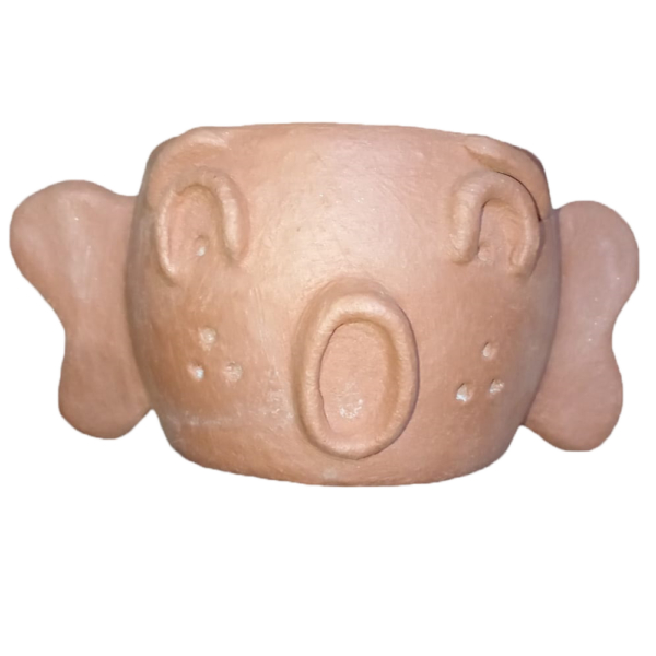 Maceta cabezona-19